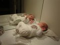 28-11-2011 18-01-47 (Large)